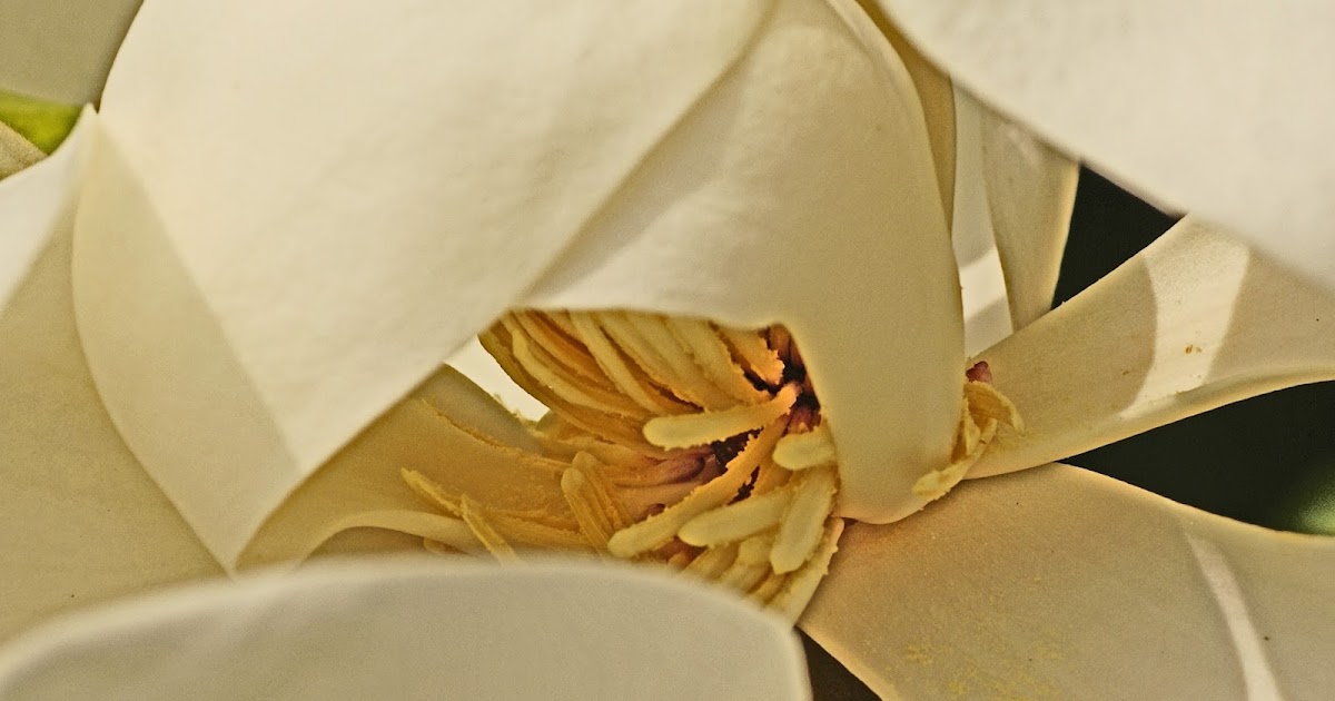 Plum Tree Tavern Three Photographs Grace Hawthorne