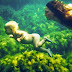 26 Stunning Photos Captured In The Right Place At The Right Time