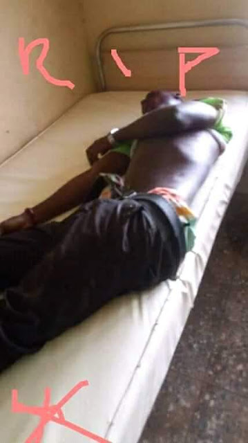 Four Federal University of Agriculture students die after fatal accident inside their campus