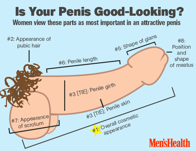 Chinese male penis size