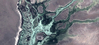 Surreal allegory The howl of the plague,abstract landscapes from the air from the deserts of Africa,Abstract Naturalism collection of Munimara, hallucination, adventure, aerial, earth, view, picasso, sand, dune, valley, drought, scenery, arid, pollock, texture, surreal, kandinsky, composition, art, background, turquoise, wild, land, dry, landscape, hot, miró, dalí, photos from the imagination, sand river, sand green river, different photographs, sand art, advertising design, africans colors, ideas for painters, different photos for advertisement, suggestive images for advertising, sand flakes, abstract expressionism, black sand, mirage of water between the dunes, petroleum stain earth, scorched earth, aerial photos, different ideas for advertising, esmerald alien, design for artists., land from the air, fantasy forms of stone and colors in the desert, light and shadow in the landscape,