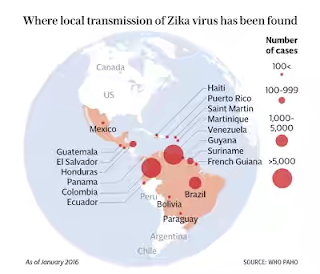 zika virus