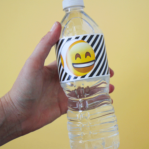 The Craft Patch Emoji Party Water Bottle Labels