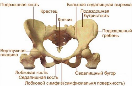 Смотреть Идеи подарка подруге на 10 лет видео Смотреть Идеи подарка подруге на 10 лет видео