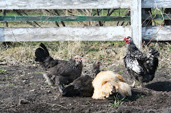 coop virtual heavy tour kristina