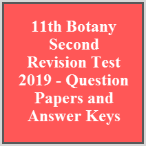 11th Botany Second Revision Test 2019 - Question Papers and Answer Keys