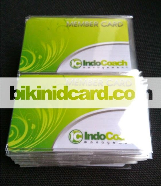cetak member card murah di bikinidcard.com