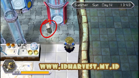 Walkthrough Harvest Moon Innocent Life Summer Minggu Kedua | Farm Pedia
