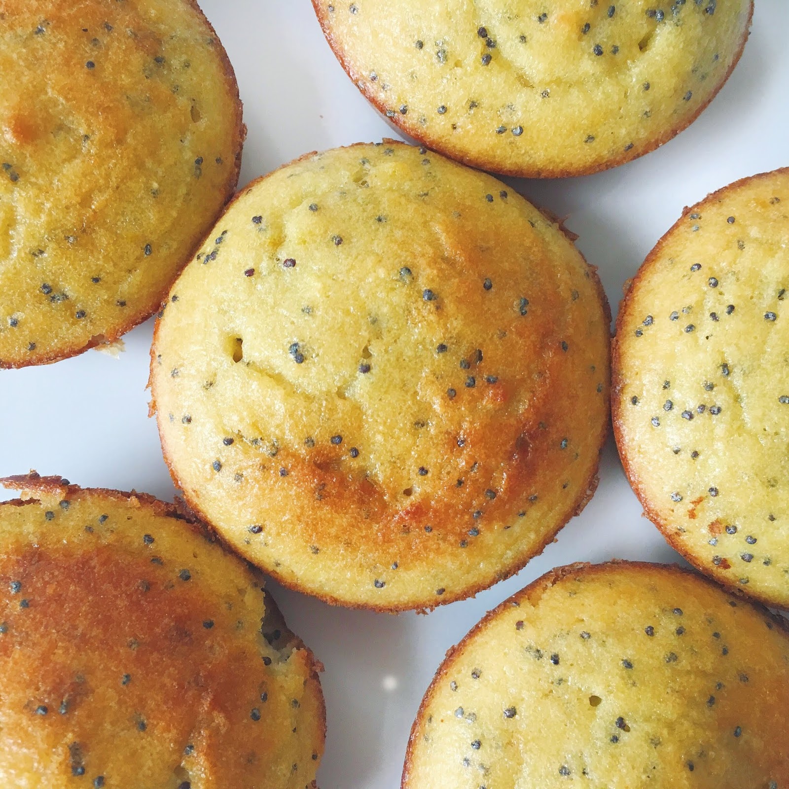 HEALTHY LEMON POPPY SEED MUFFINS #lemon #poppy #muffins #healthyfood #healthyrecipes #healthysnacks HEALTHY LEMON POPPY SEED MUFFINS #lemon #poppy #muffins #healthyfood #healthyrecipes #healthysnacks