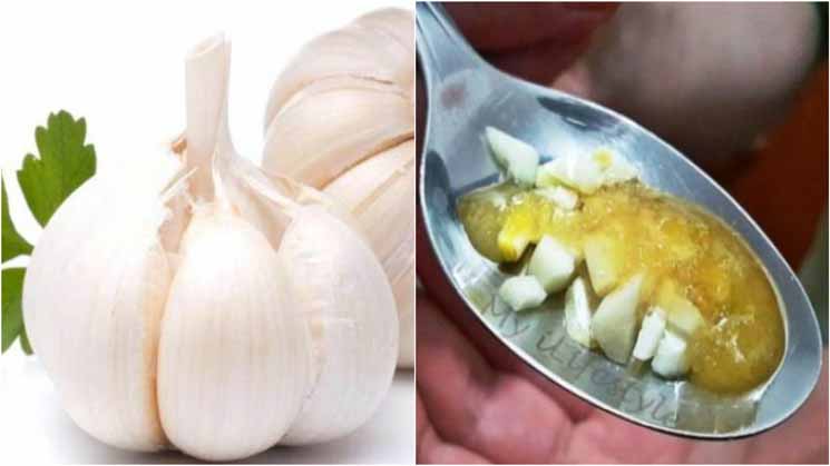 Anda Disarankan Makan Cincangan Bawang Putih dan Madu Setiap Hari, Lihat Khasiatnya Anda Disarankan Makan Cincangan Bawang Putih dan Madu Setiap Hari, Lihat Khasiatnya