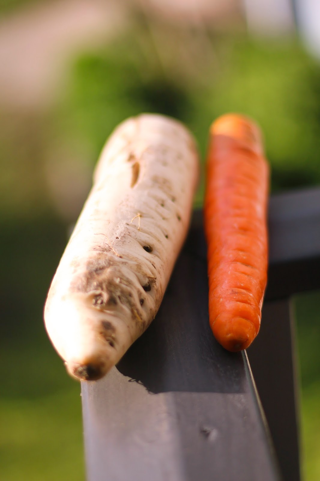 My Weekend's Cooked How To Matchstick Vegetables