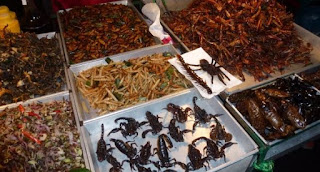 Bangkok, Insectos en Khaosan Road. Bangkok, Insectos en Khaosan Road.