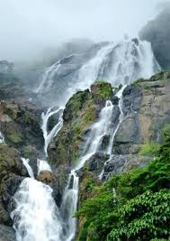 A STREAM AT DUDHSAGAR FALLS Dudhsagar Falls Stream