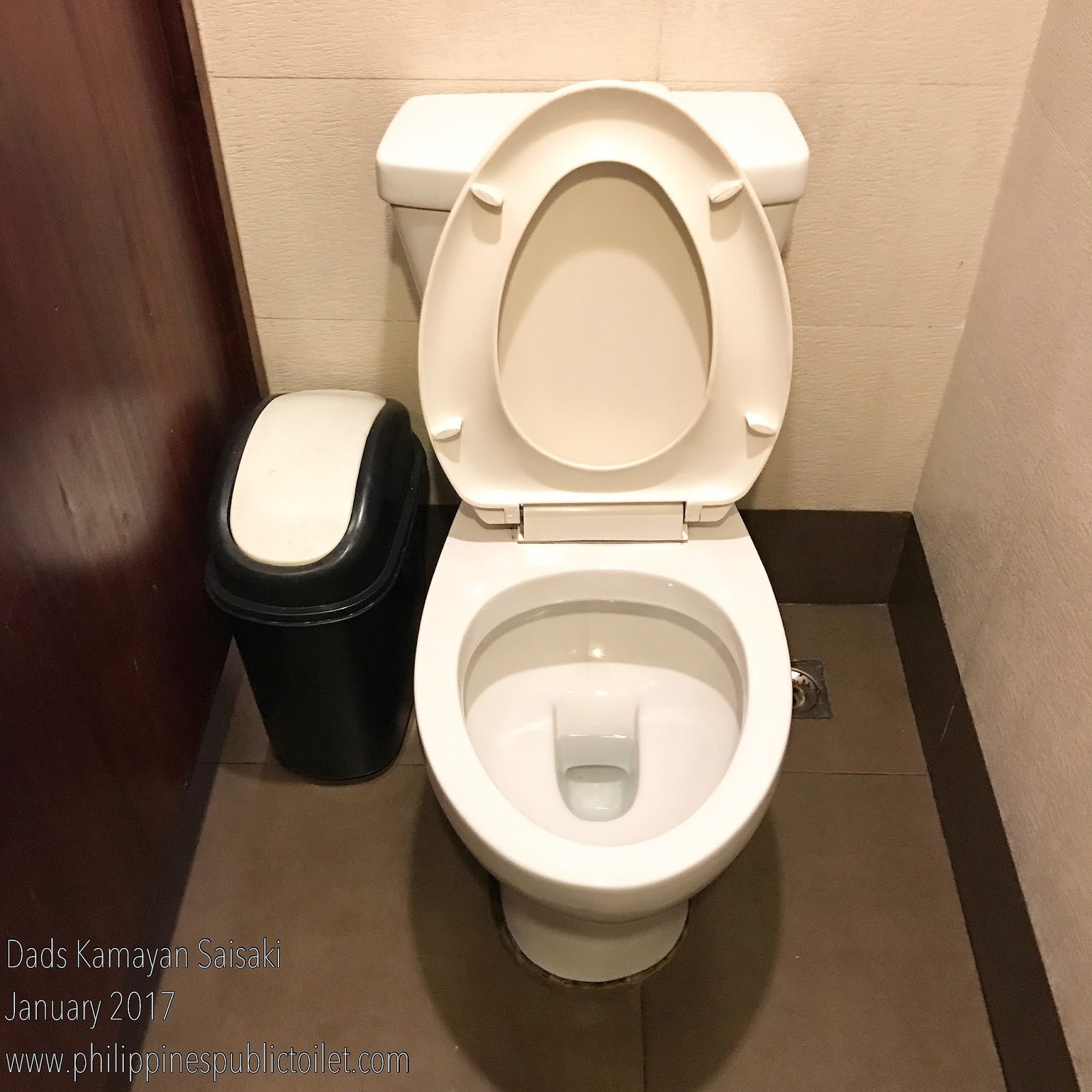 Philippines Public Toilet Chronicles