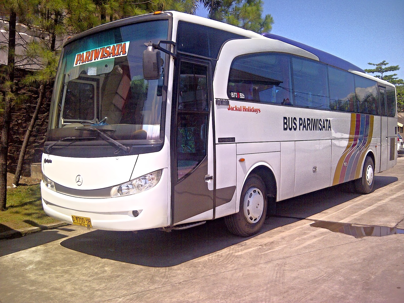 BUS CHARTER-CAR RENTAL-TOURS TRAVEL: PO Jackal Holidays