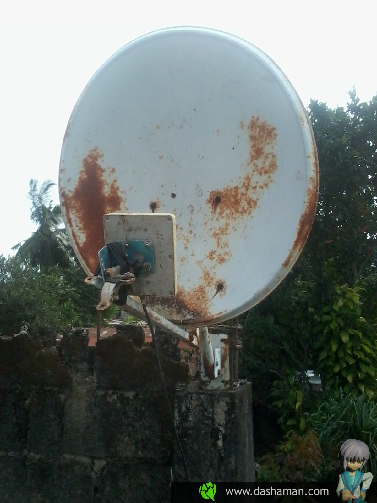 the shaman Enchancing your Globe Wimax antenna gain with an old