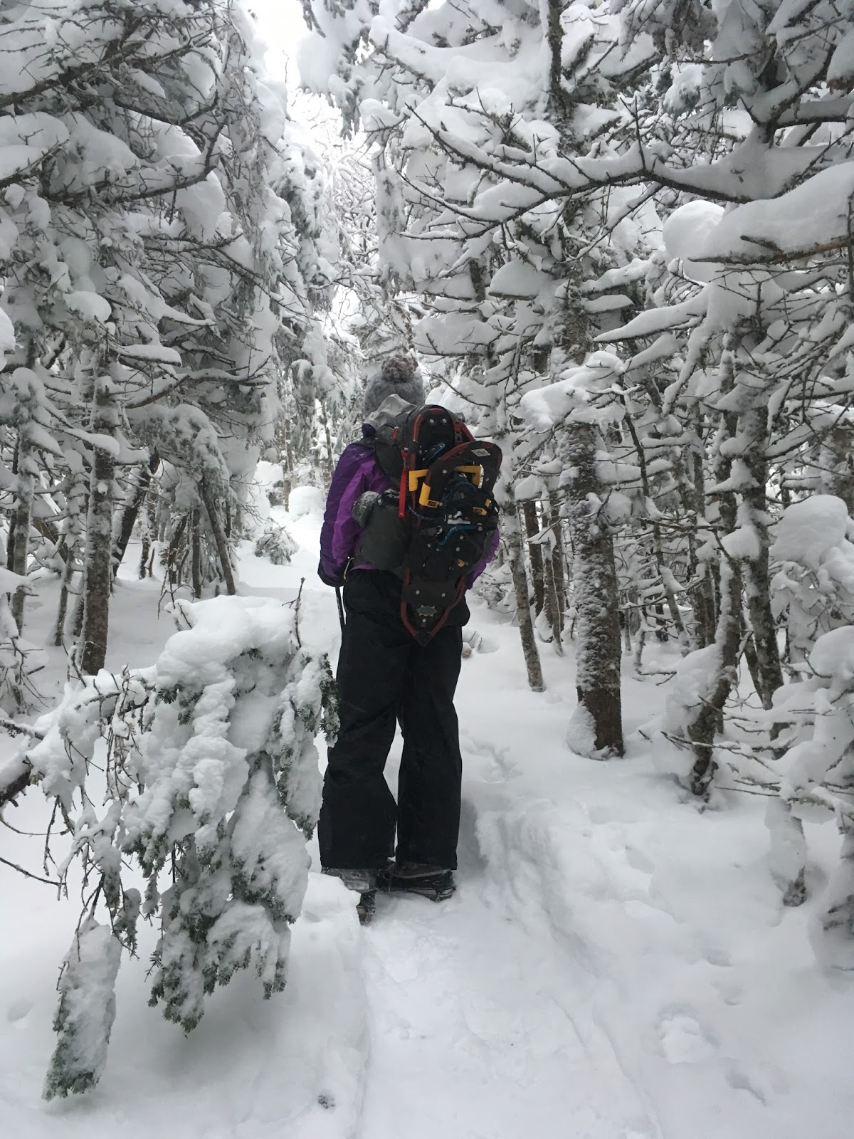 North Tripyramid Middle Tripyramid (NH, 4000) TrailsNH Hiking Conditions