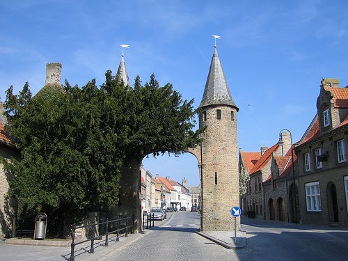 Inilah 6 Pohon Bersejarah yang menjadi Saksi Sejarah Umat Manusia