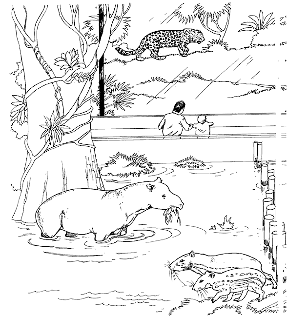 tapir and juvenile coloring pages - photo #23