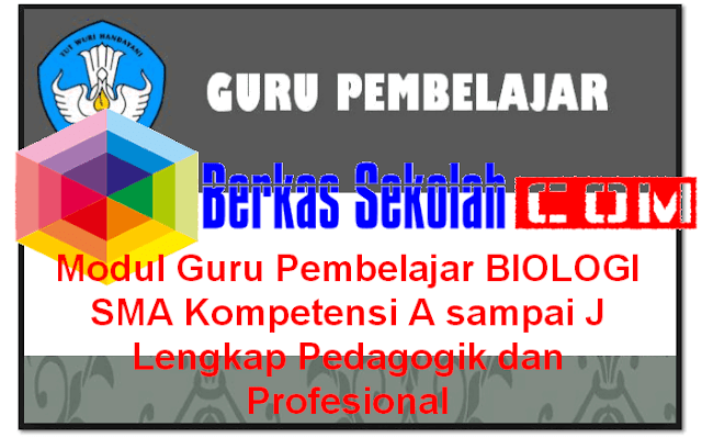 Modul Guru Pembelajar BIOLOGI SMA Kompetensi A sampai J Lengkap Pedagogik dan Profesional Download Modul Guru Pembelajar BIOLOGI SMA Kompetensi A sampai J Lengkap Pedagogik dan Profesional