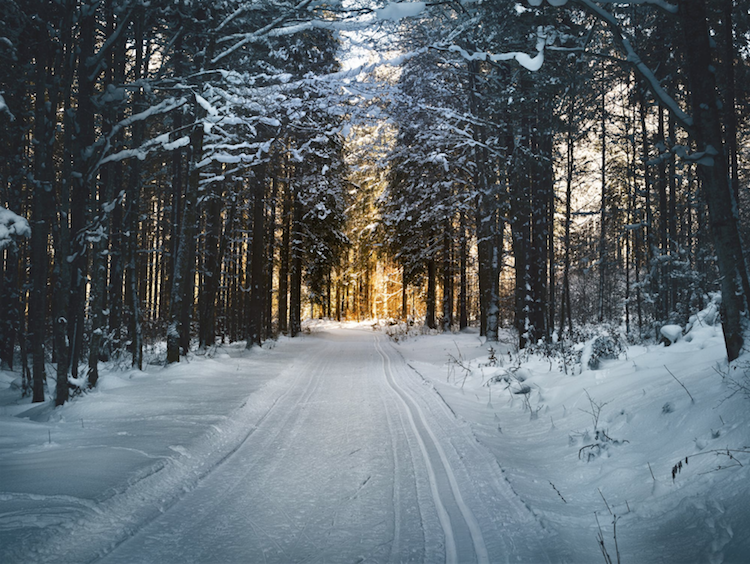 snowy winter road