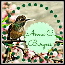 Go to Anna's blog: From A Quiet Corner