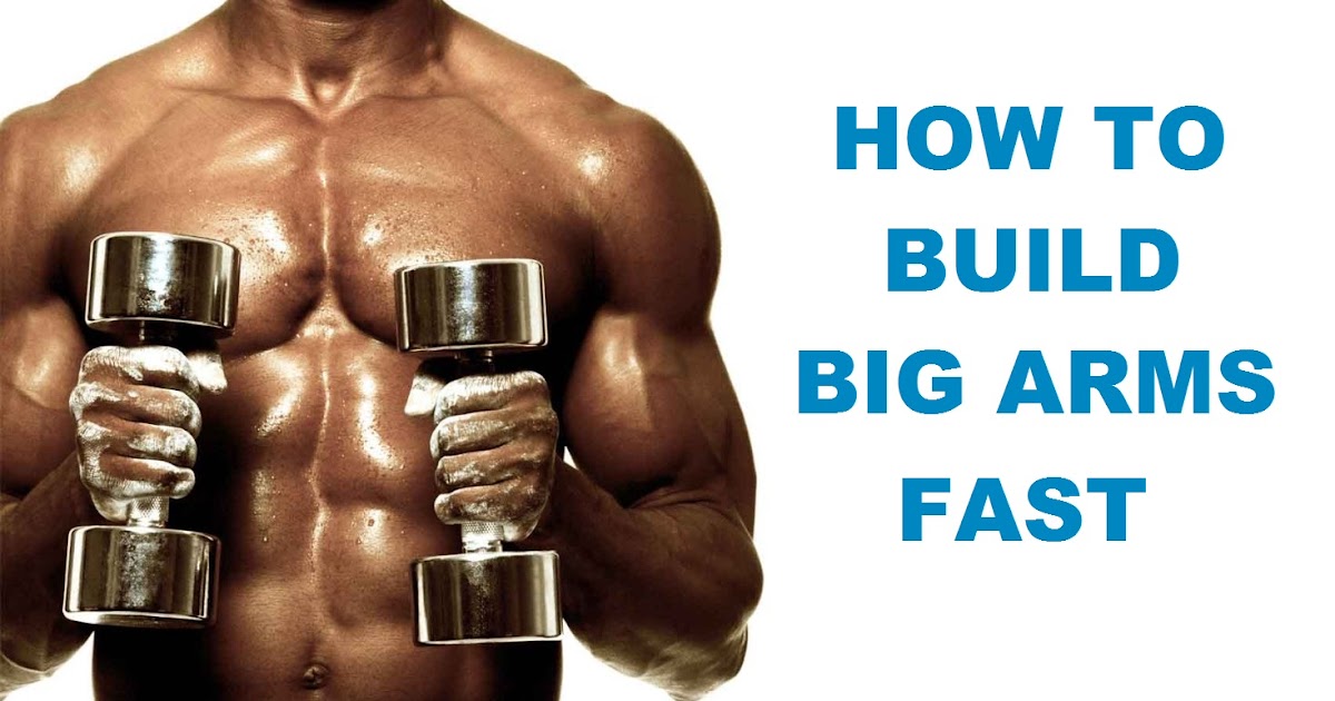 Muscle Palace How to Get Big Arms Fast Build Bigger Biceps and