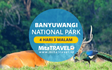 Paket Wisata Banyuwangi 4 Hari 2 Malam National Park