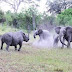 The Journey safari afrinac