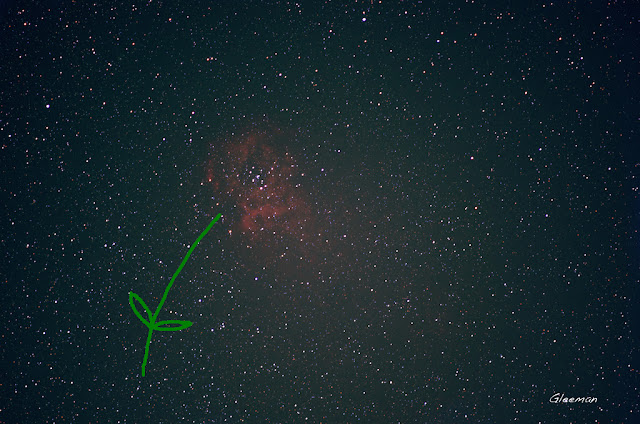薔薇星雲 ISO3200 F2.8 120s Rosette Nebula - NGC 2237, Pentax K5 + O-GPS1 w/DA*200 LPS-P2 Filter