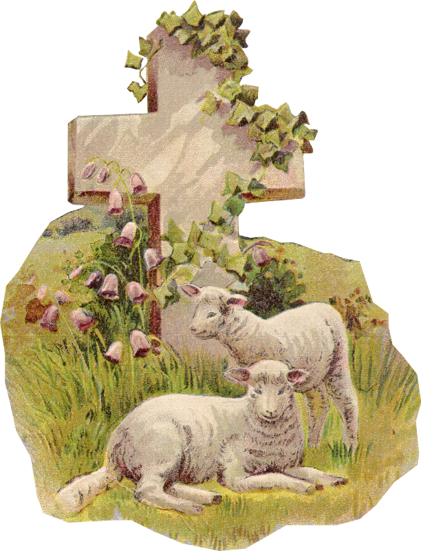 http://4.bp.blogspot.com/-W8_mEXeqcis/T3rbI_WmNjI/AAAAAAAAR30/S2RrfiJuMQc/s1600/woldpcardsx003.png