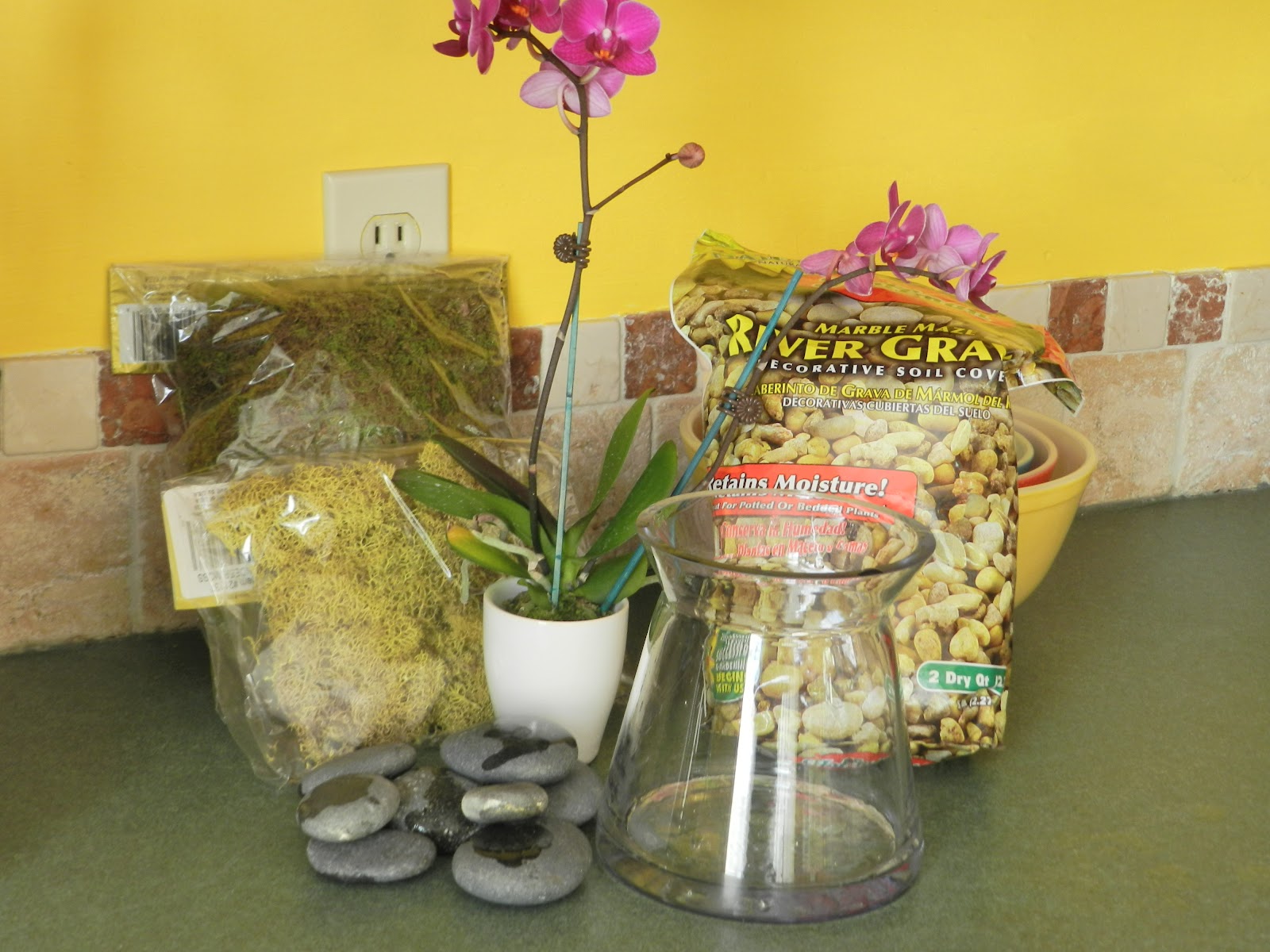 THE DESIGNER'S EYE How to Put Orchids in Terrariums.