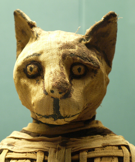 Amun-Ra Egyptology Blog: Unwrapping the ancient Egyptian animal mummy  industry