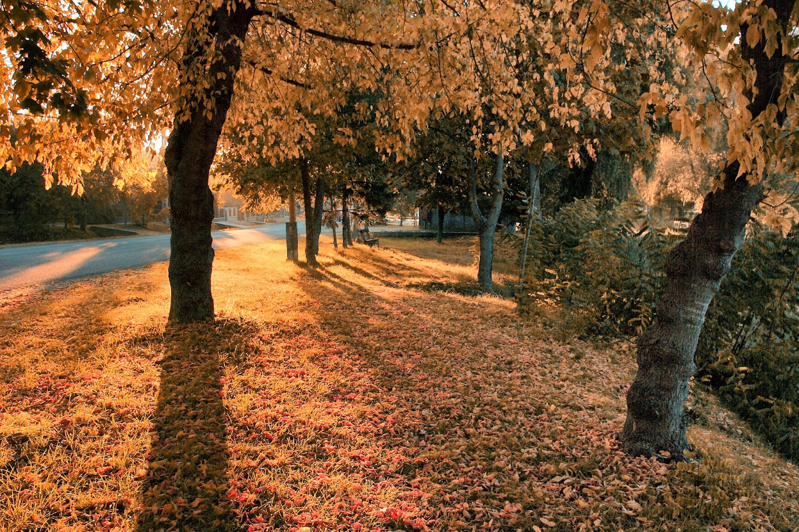 The Tupelo Channel What To Do In Tupelo This Fall UPDATED The Tupelo Channel What To Do In Tupelo This Fall UPDATED