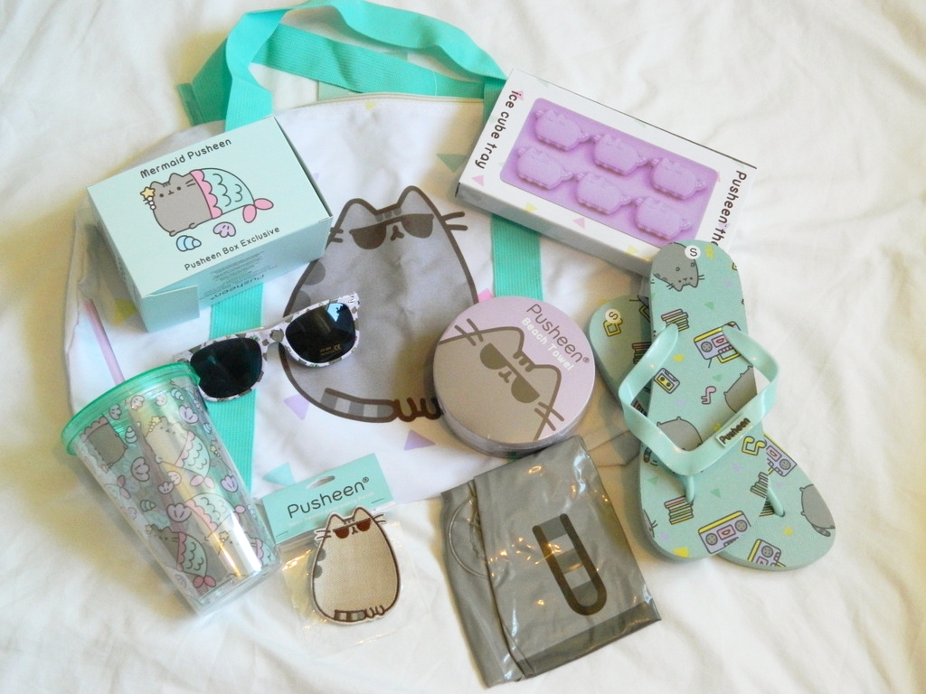 Pusheen Box Summer Edition Review Raiin Monkey