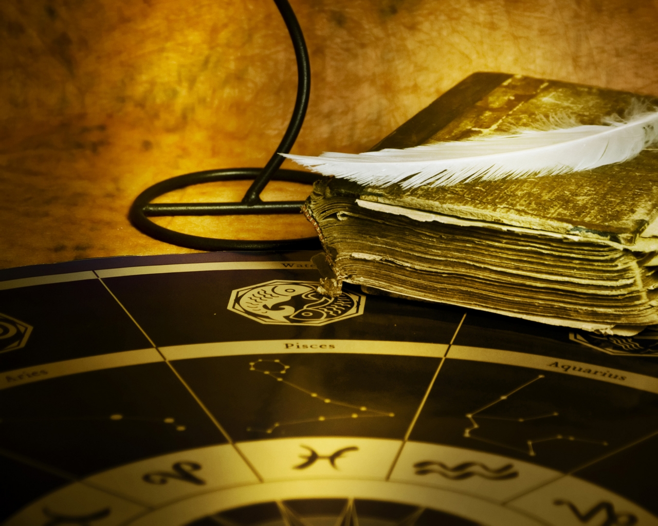 Wealth Astrology Know all about it!