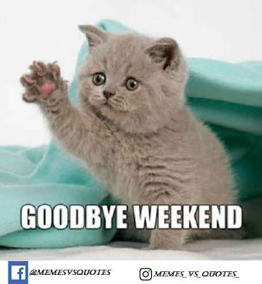Cat Goodbye weekend
