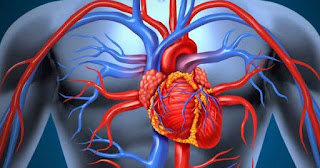 http://impromifasi.blogspot.com/2017/05/9-cara-merawat-kesehatan-jantung.html