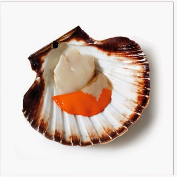 Placeres del Mar Vieira Gallega