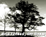 http://jahreszeitenbriefe.blogspot.de/search/label/Mein%20Freund%20der%20Baum