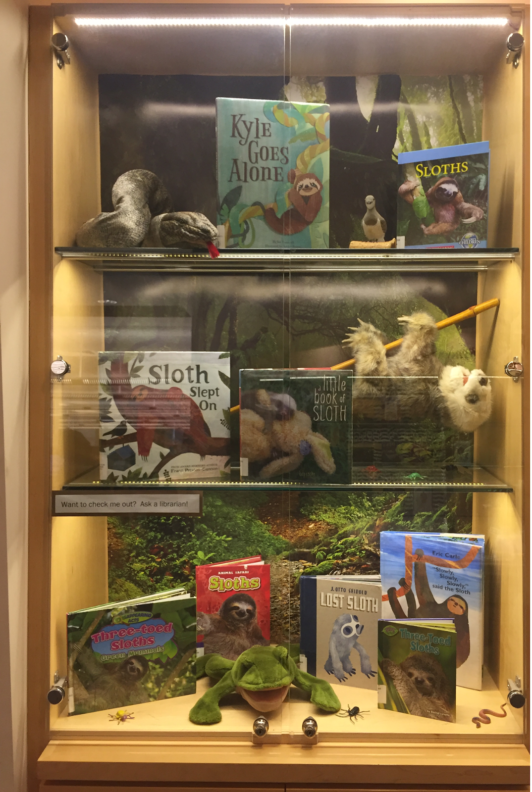Display: Sloths!