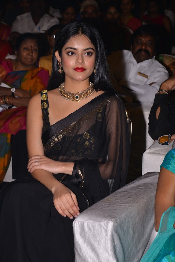Riddhi Kumar saree stills at Sobhan Babu Awards 2019
