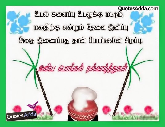 nice-tamil-pongal-quotes-online