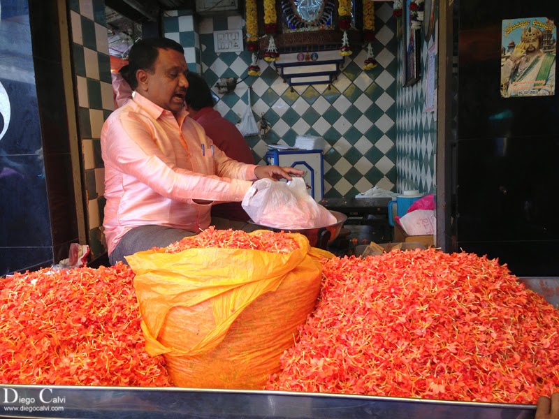 Mysore la ciudad del Ashtanga - Los Colores de la India - Vuelta al Mundo (3)