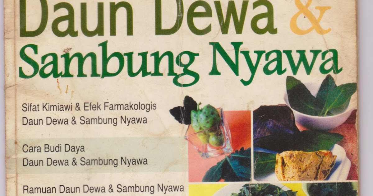 Manfaat Teks Ulasan Bagi Pembaca Dan Penulis Manfaat Manfaat Teks Ulasan Bagi Pembaca Dan Penulis Manfaat