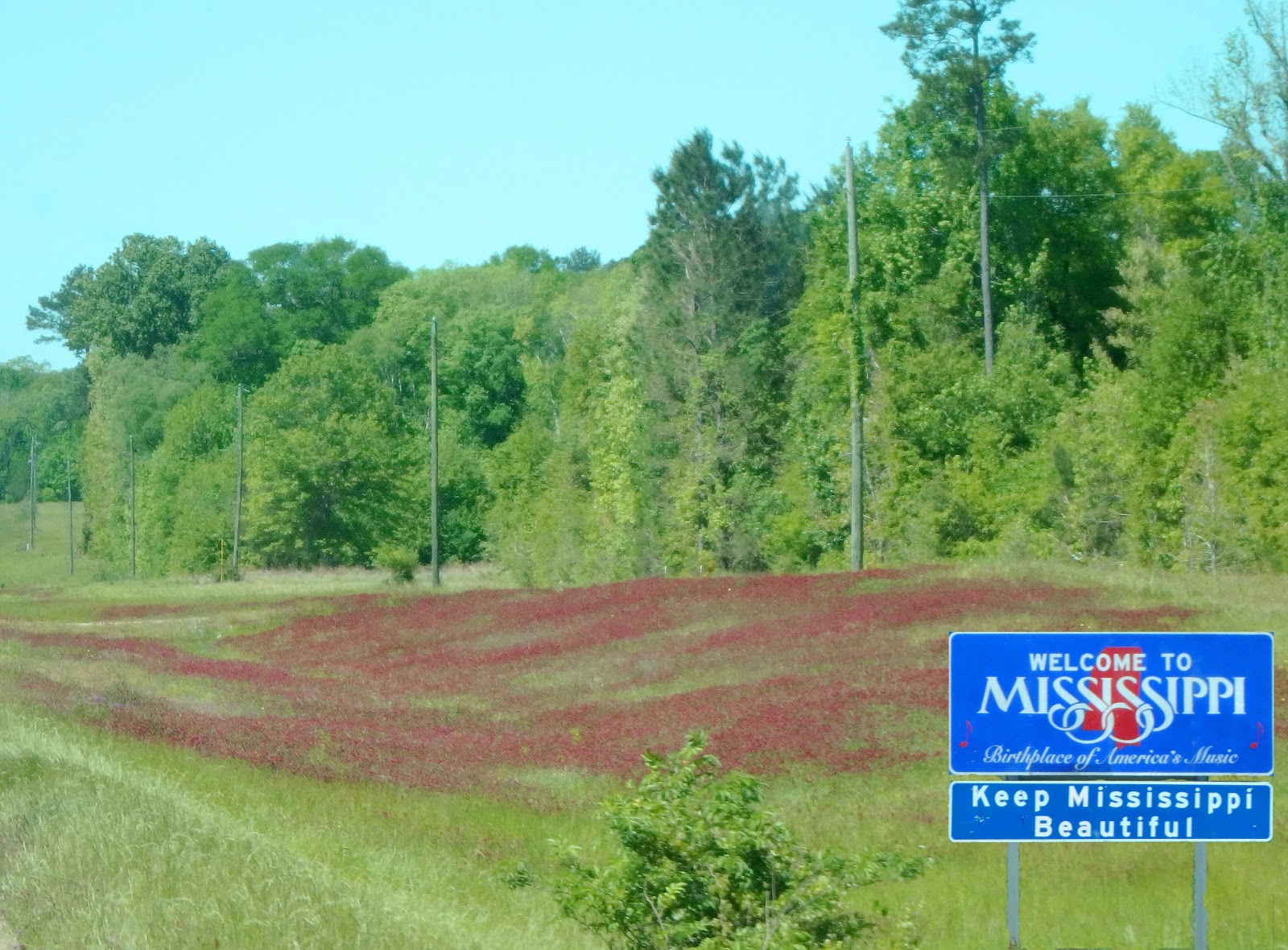PAMPERED PENGUIN April 1617, 2018 Big Creek Water Park, Soso, Mississippi