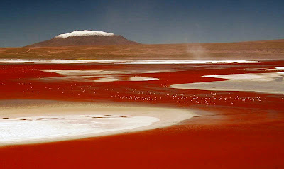 La Laguna Colorada Bolivia