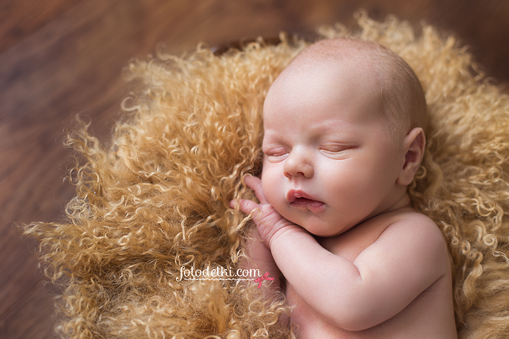 Платонов рассказы. Платонов рассказы. Какого цвета был цветок напоминавший никите младенца. Какого цвета был цветок напоминавший никите младенца. Какого цвета был цветок напоминавший никите младенца.