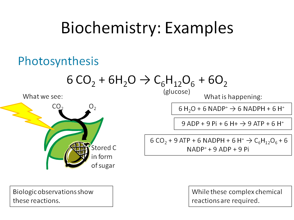 photosynthesis equation balanced ksiqno