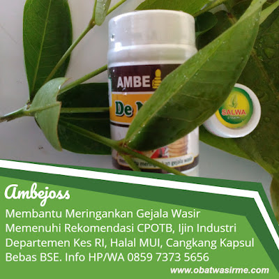 Cara Mengobati Ambeien Saat Hamil Muda Cara Mengobati Ambeien Saat Hamil Muda